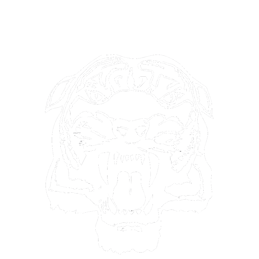 Castleford Tigers Rugby League Badge 